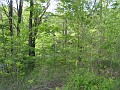 Tilton NH Rail Trail 2010 0150